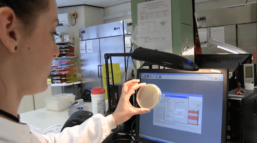 lab worker holing up a plate with mrs open on her computer