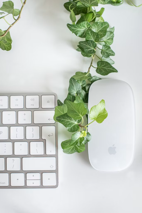 Computer mouse and keyboard intertwined with ivy vines 